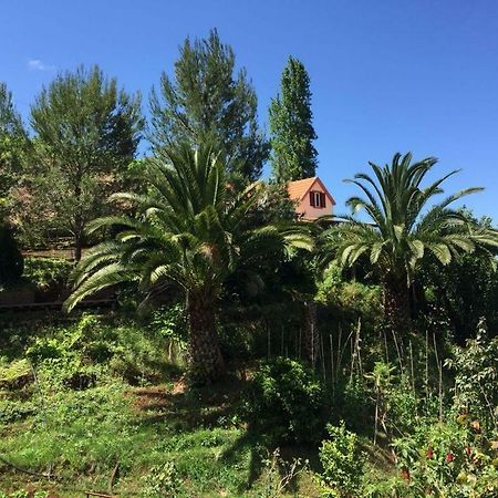 Villa Casa D'Olivia Porto Da Cruz Exterior foto