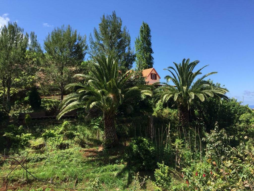 Villa Casa D'Olivia Porto Da Cruz Exterior foto